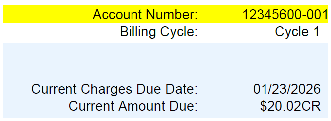 Top Banner Snippet on Utility Bill